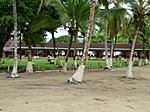 Blick auf unser Hotel in Punta Uva